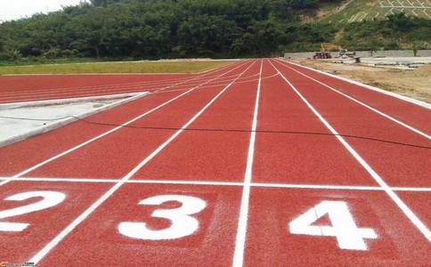 塑膠運(yùn)動(dòng)跑道 塑膠運(yùn)動(dòng)跑道